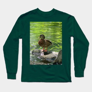 Birds - Duck on Rocks Long Sleeve T-Shirt